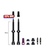 Barkeeper Tubeless Valve Kit