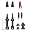 Barkeeper Tubeless Valve Kit