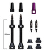 Barkeeper Tubeless Valve Kit