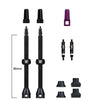 Barkeeper Tubeless Valve Kit