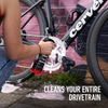 Bio Drivetrain Detox